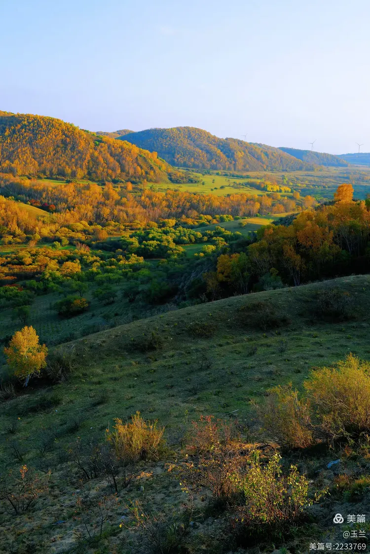 秋游御道口草原森林风景区